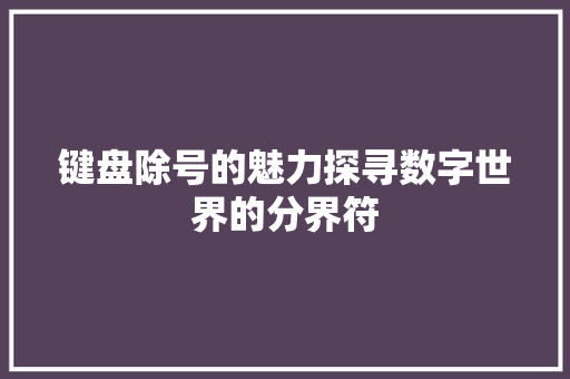 键盘除号的魅力探寻数字世界的分界符