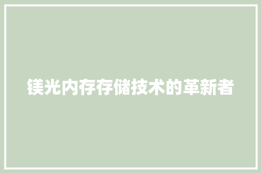 镁光内存存储技术的革新者