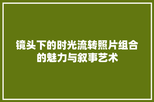 镜头下的时光流转照片组合的魅力与叙事艺术