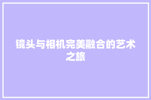 镜头与相机完美融合的艺术之旅