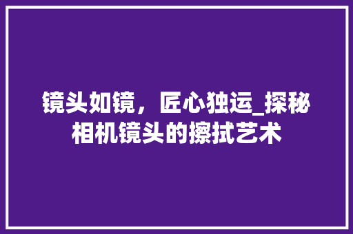 镜头如镜，匠心独运_探秘相机镜头的擦拭艺术