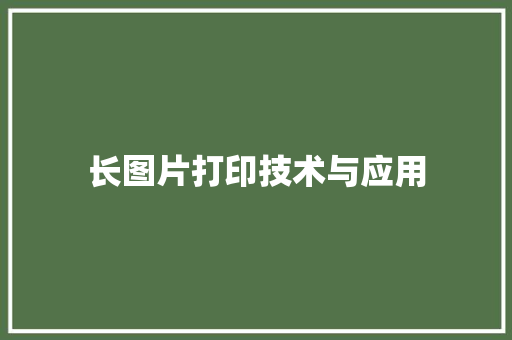 长图片打印技术与应用