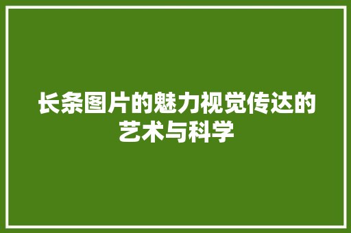 长条图片的魅力视觉传达的艺术与科学