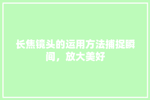 长焦镜头的运用方法捕捉瞬间，放大美好