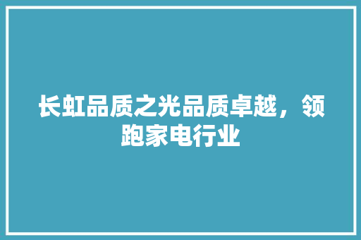 长虹品质之光品质卓越，领跑家电行业