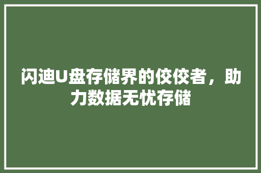 闪迪U盘存储界的佼佼者，助力数据无忧存储