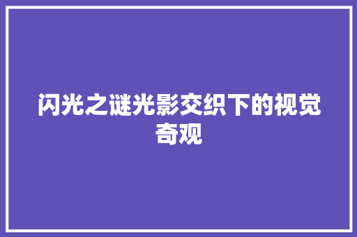 闪光之谜光影交织下的视觉奇观