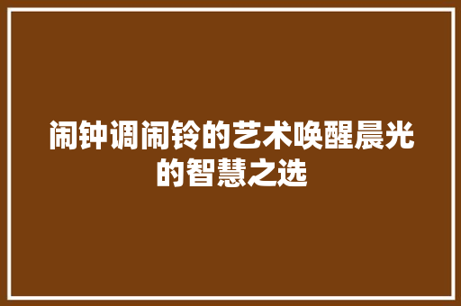 闹钟调闹铃的艺术唤醒晨光的智慧之选