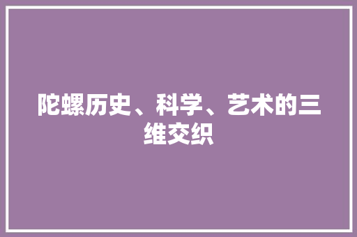 陀螺历史、科学、艺术的三维交织