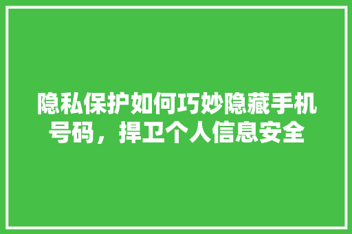 隐私保护如何巧妙隐藏手机号码，捍卫个人信息安全