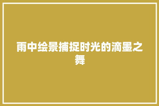 雨中绘景捕捉时光的滴墨之舞