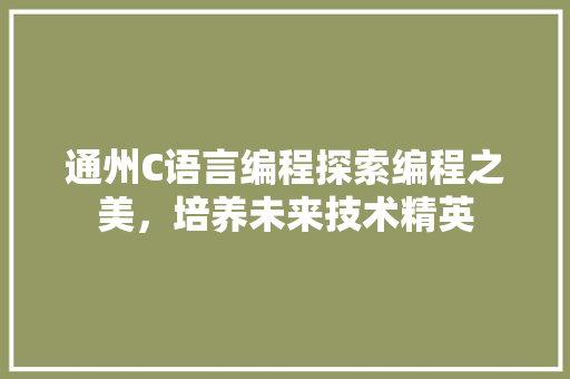 通州C语言编程探索编程之美，培养未来技术精英