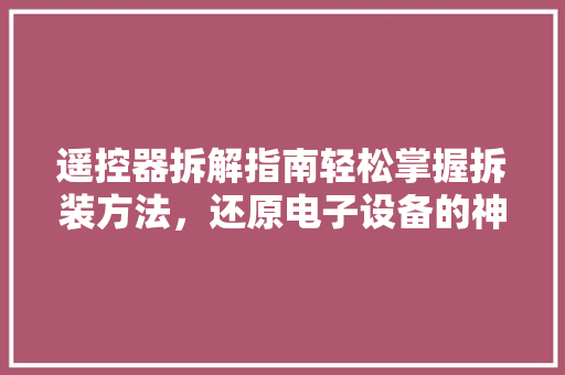 遥控器拆解指南轻松掌握拆装方法，还原电子设备的神秘面纱