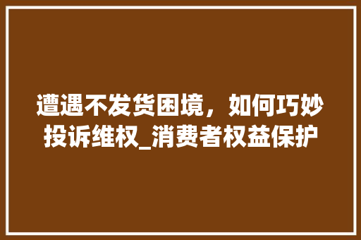 遭遇不发货困境，如何巧妙投诉维权_消费者权益保护指南