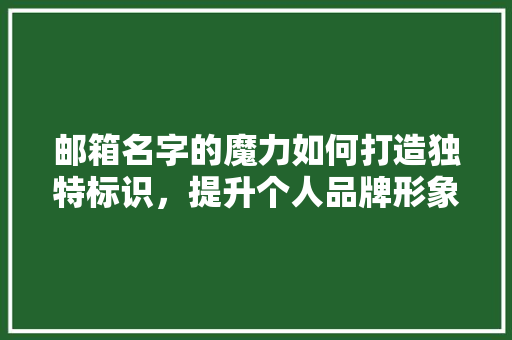 邮箱名字的魔力如何打造独特标识，提升个人品牌形象