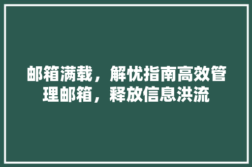 邮箱满载，解忧指南高效管理邮箱，释放信息洪流