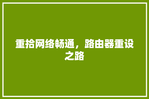 重拾网络畅通，路由器重设之路