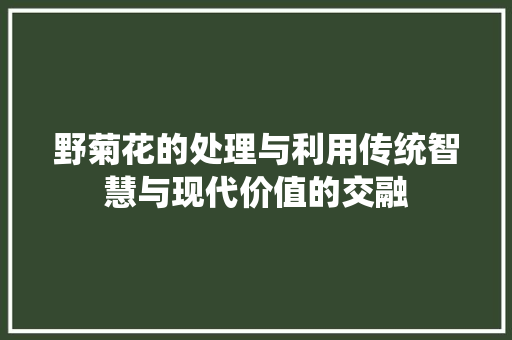 野菊花的处理与利用传统智慧与现代价值的交融