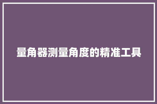 量角器测量角度的精准工具