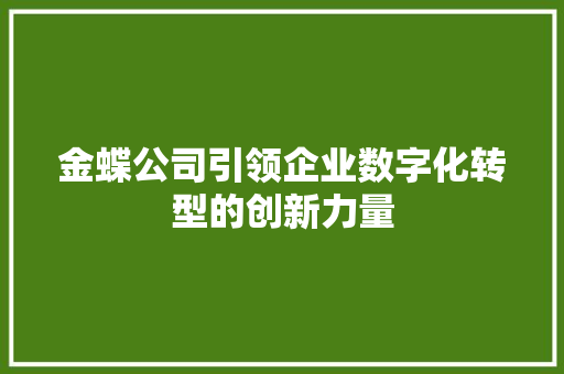 金蝶公司引领企业数字化转型的创新力量