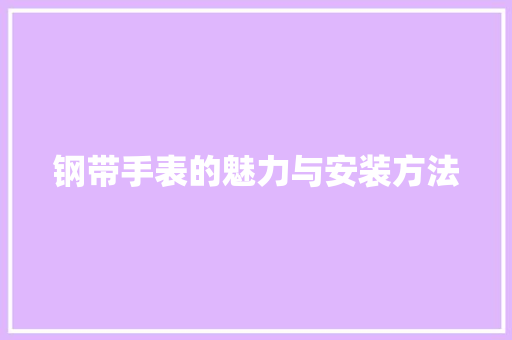 钢带手表的魅力与安装方法