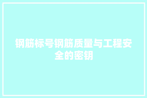 钢筋标号钢筋质量与工程安全的密钥