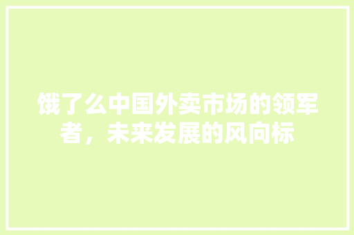 饿了么中国外卖市场的领军者，未来发展的风向标