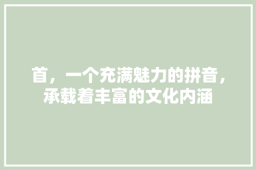 首，一个充满魅力的拼音，承载着丰富的文化内涵