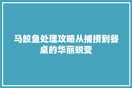 马鲛鱼处理攻略从捕捞到餐桌的华丽蜕变