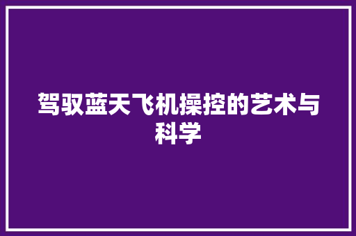 驾驭蓝天飞机操控的艺术与科学