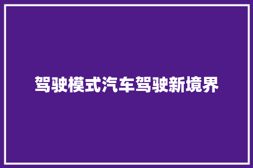 驾驶模式汽车驾驶新境界