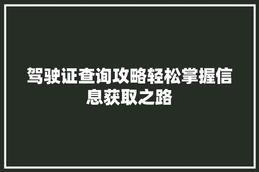 驾驶证查询攻略轻松掌握信息获取之路