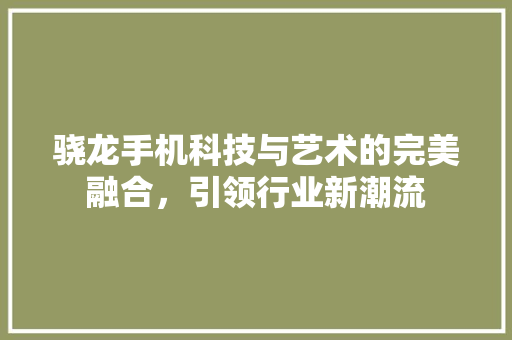 骁龙手机科技与艺术的完美融合，引领行业新潮流