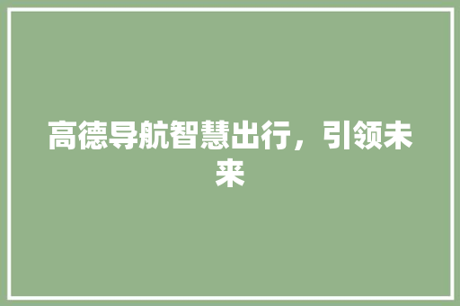 高德导航智慧出行，引领未来