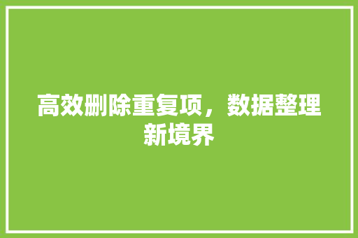 高效删除重复项，数据整理新境界