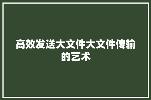 高效发送大文件大文件传输的艺术