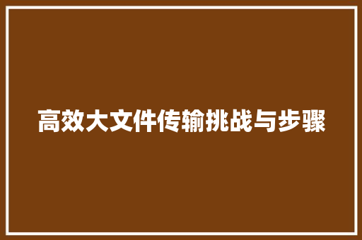 高效大文件传输挑战与步骤