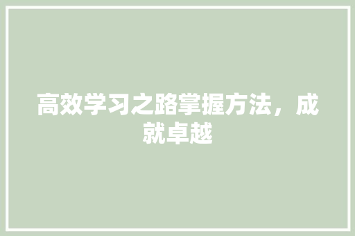 高效学习之路掌握方法，成就卓越