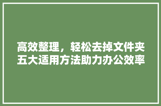 高效整理，轻松去掉文件夹五大适用方法助力办公效率提升