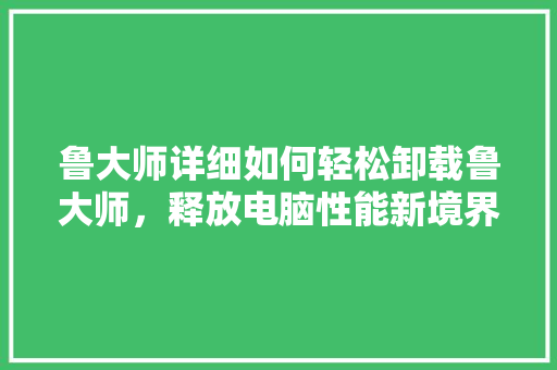 鲁大师详细如何轻松卸载鲁大师，释放电脑性能新境界