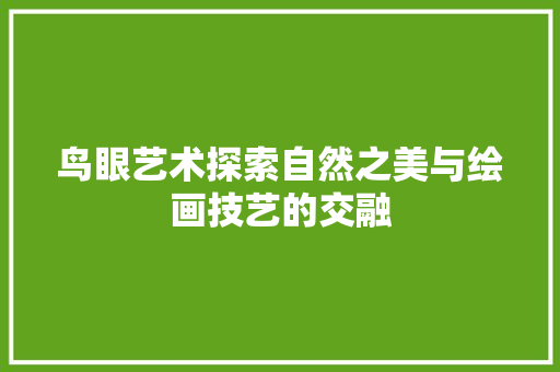 鸟眼艺术探索自然之美与绘画技艺的交融