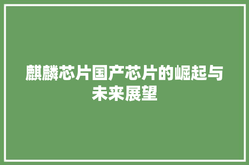 麒麟芯片国产芯片的崛起与未来展望