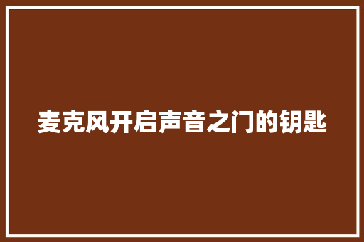 麦克风开启声音之门的钥匙