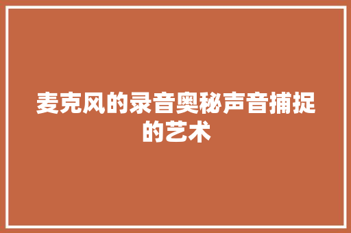 麦克风的录音奥秘声音捕捉的艺术