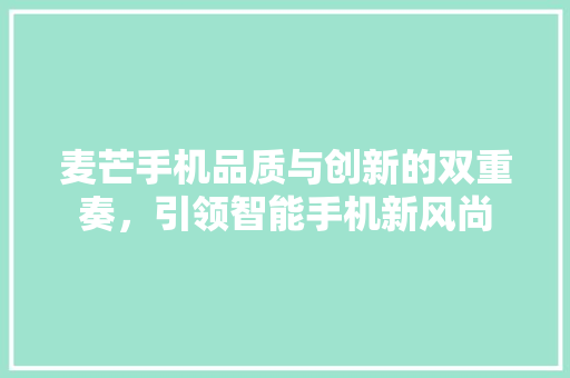 麦芒手机品质与创新的双重奏，引领智能手机新风尚