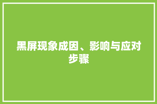 黑屏现象成因、影响与应对步骤