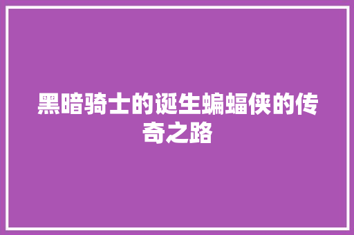 黑暗骑士的诞生蝙蝠侠的传奇之路