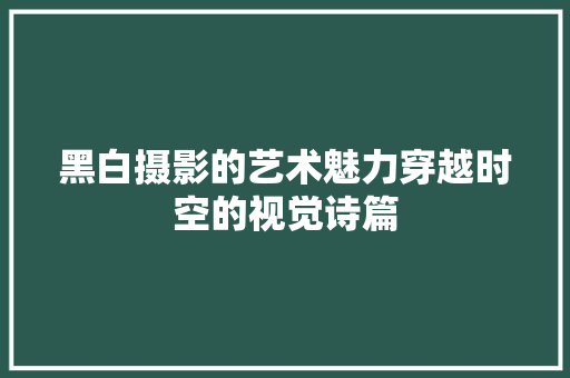 黑白摄影的艺术魅力穿越时空的视觉诗篇