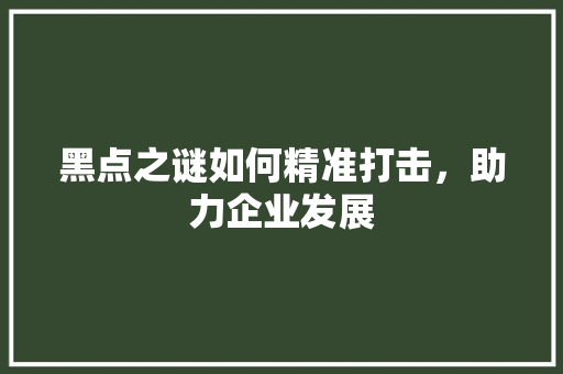 黑点之谜如何精准打击，助力企业发展