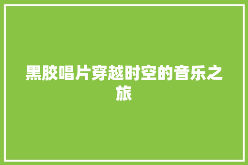 黑胶唱片穿越时空的音乐之旅